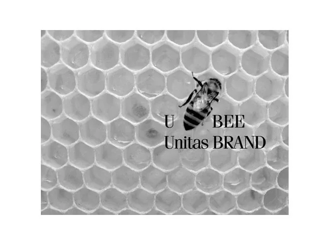 UNITAS BRAND · 관련 디자인 자료 1